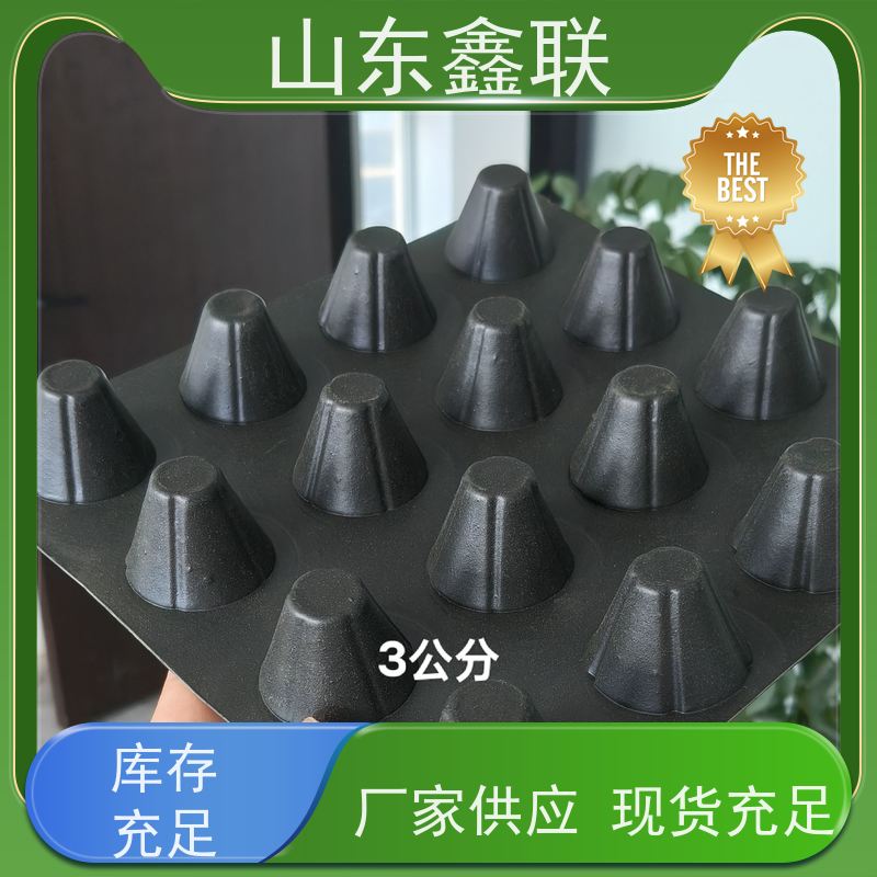 20高鑫联新生产厂家 绿化PE塑料排蓄水板 屋顶花园车库顶板种植
