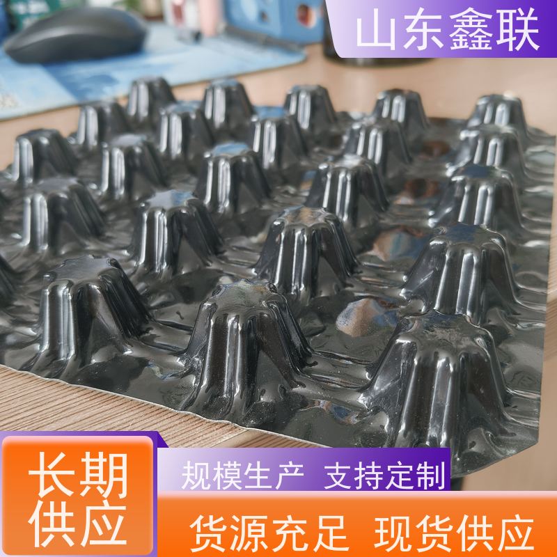屋顶绿化车库凹凸鑫联新 地下室绿化楼顶阻根蓄水疏水滤水板