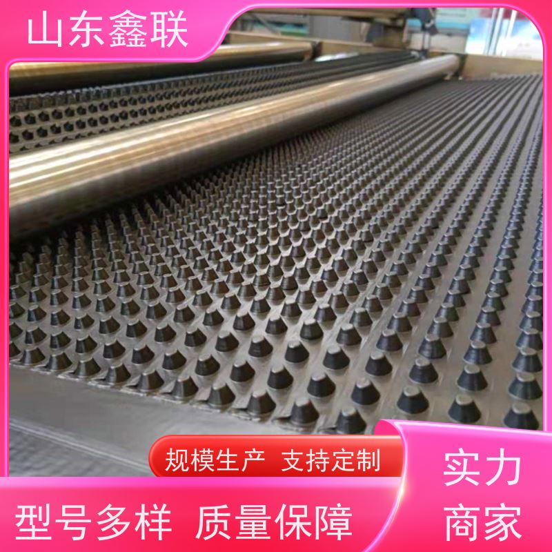排水板 2.0厚 机场遂道高密度HDPE聚乙烯 疏水板 鑫联新