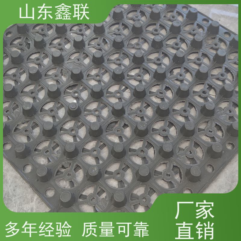 2公分小区绿化塑料排水板阻根耐穿刺导水板 高密度聚乙烯蓄水板