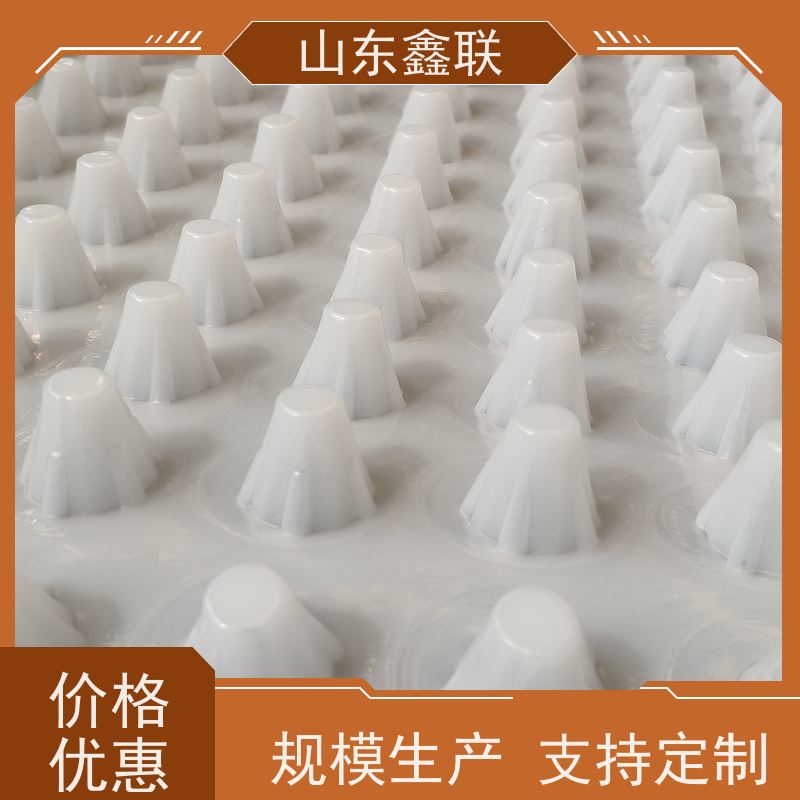 排水,防水,透气,隔根多功能鑫联新牌塑料排水板 卷材凸高20mm+25mm