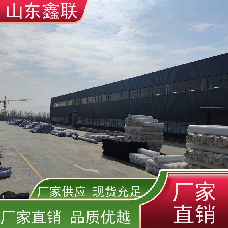 供应HDPE疏水板 市政园林地下室屋顶绿化排水板 凹凸型塑料