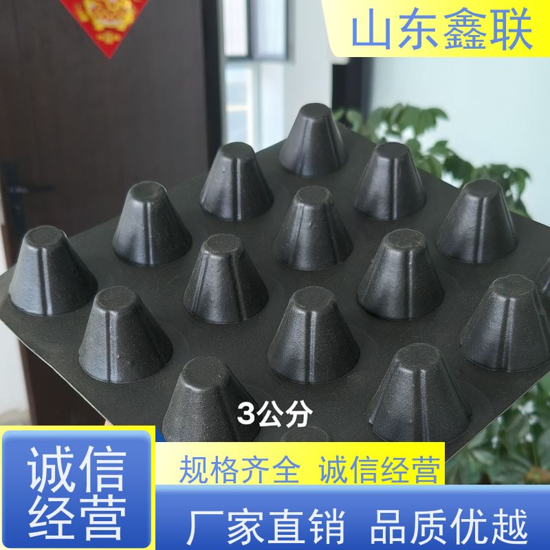 3cm高pvc凹凸排 水 板 H30楼顶绿化滤水板 塑料夹层排水板卷材