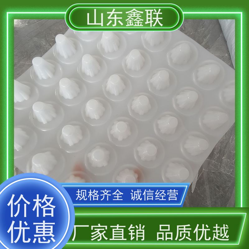 专业塑料疏水板 凹凸防穿刺 HDPE防排水板 地下室底板