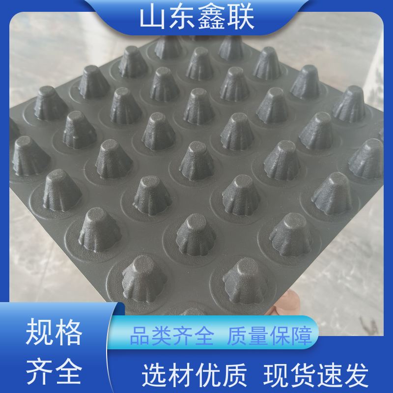地下室顶板塑料排水板 60高pvc排水凸片 鑫联新销售