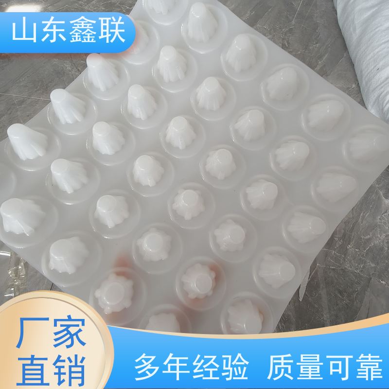屋顶绿化凹凸塑料hdpe排水板 H30滤水板 鑫联新品牌