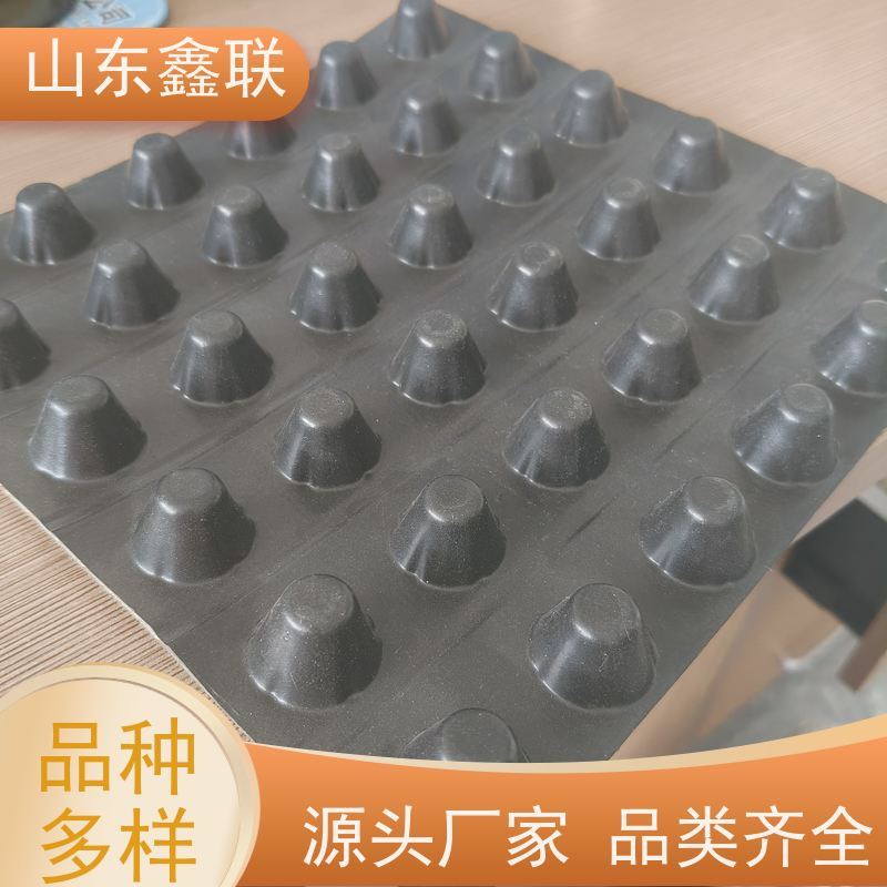 2.0cm黑色塑料hdpe蓄水板 楼顶花园种植镂空凹凸型鑫联新