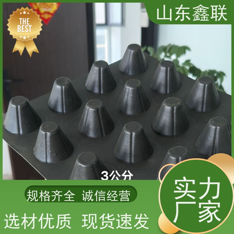 鑫联新 屋面种植空中花园凹凸型排蓄水板 网状交织