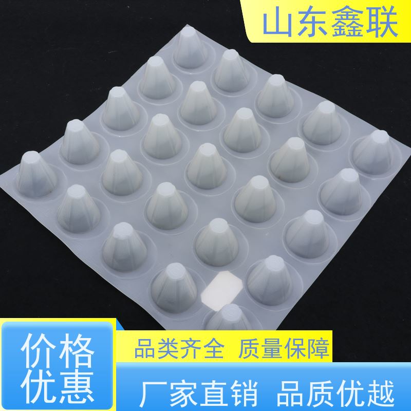 园林绿化pe料白色排水板 凹凸型排蓄水板 滤水板厂家