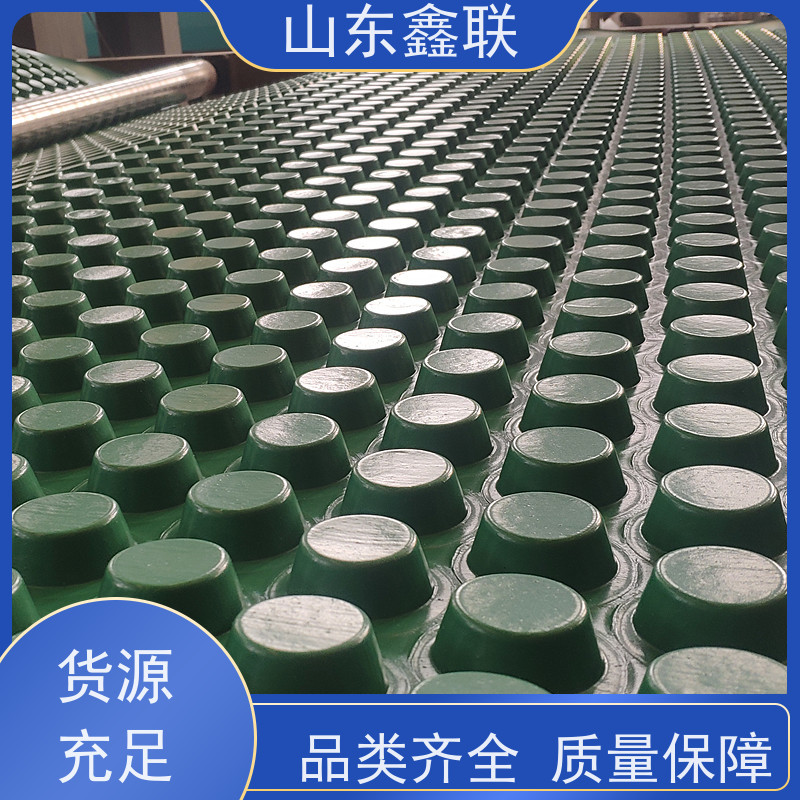 全新料HDPE高密度聚乙烯15mm16mm20mm车库顶板底板排水板