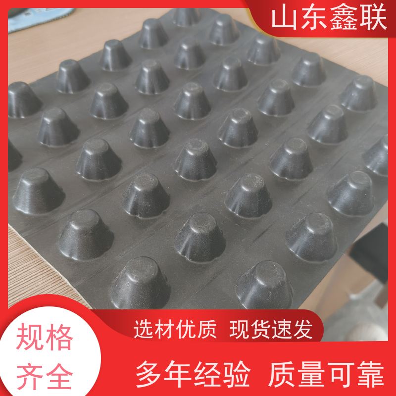 耐根穿刺排水板H20 H25 现货塑料疏水板 凸片车库顶板滤水板