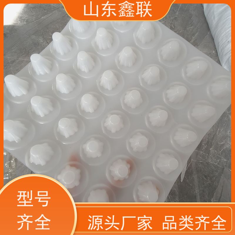 2cm凹凸型塑料排蓄水板 屋顶花园鑫联新可包施工