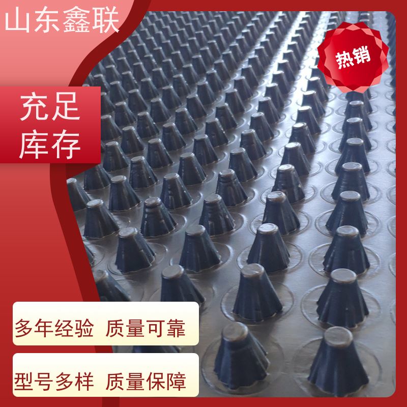 供应2cm渗水排水土工席垫 垃圾填埋场用黑色网状交织排水板