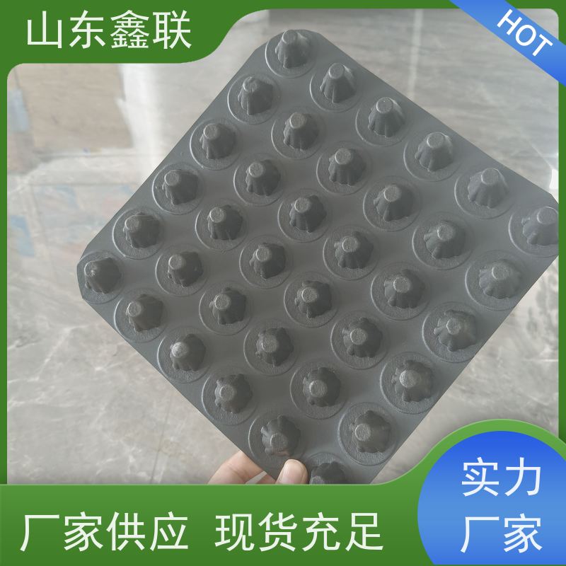凹凸型聚乙烯塑料排水板 型号H20 H25 凸壳型排水卷材疏水板 支持定制