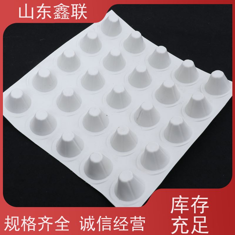 佳一 聚乙烯PE排水板 高强度耐磨塑料板 自润滑加厚pe板材
