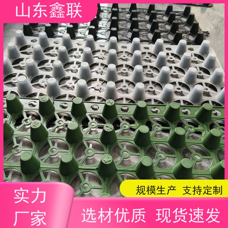鑫联 种植顶板绿化用 HDPE聚乙烯塑料 凹凸型排蓄水板