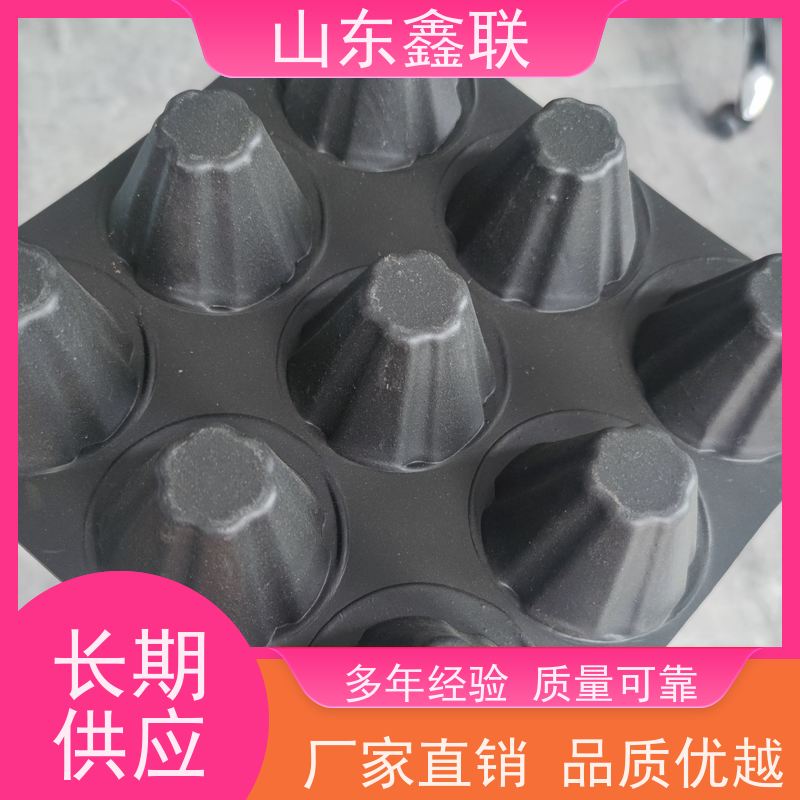 20mm黑色绿化排水凹凸型塑料排水板?排蓄水板 疏滤水板