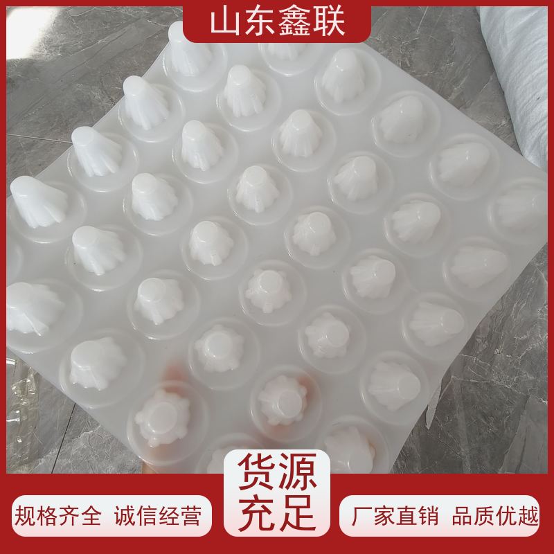 H30地下室顶板疏水板 HDPE排水板卷材 抗压强度高 鑫联新