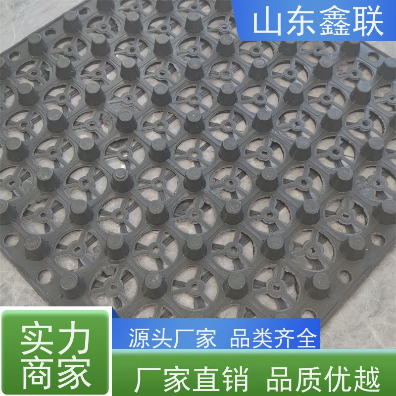 陕 西 安 康聚乙烯排水板 防渗疏水板 提供施工 白色蓄水板