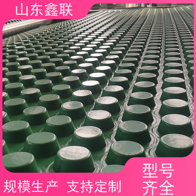 覆盖土工布排水板 地下室底板凹凸疏水板 车库塑料黑色卷材蓄水板
