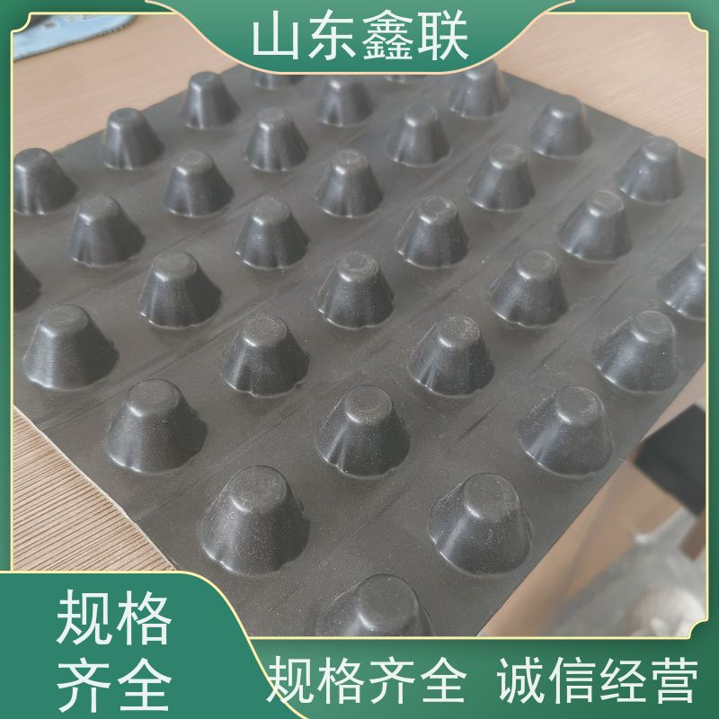 4公分排水板 2mm塑料蓄排 PVC凸壳沥水板 鑫联新生产