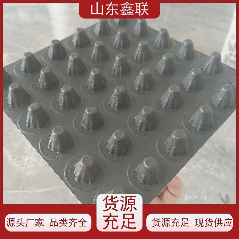 鑫联新 20高PE凹凸型排（蓄）水板 塑料透水疏水板 建筑工程 耐腐蚀