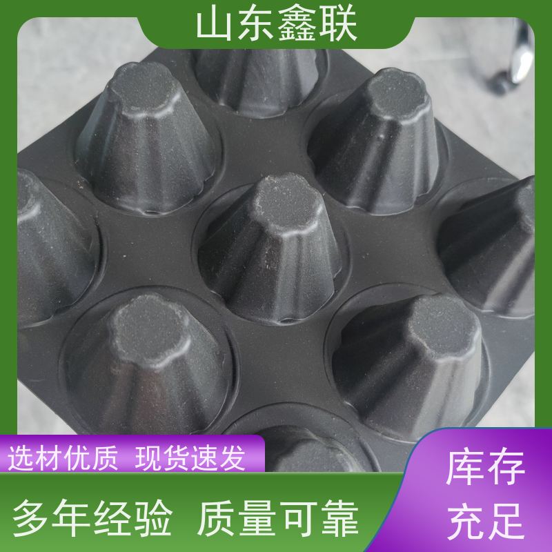 蚌 埠 固态蓄水模块及 下凹绿地 高密度聚乙烯防排保护板