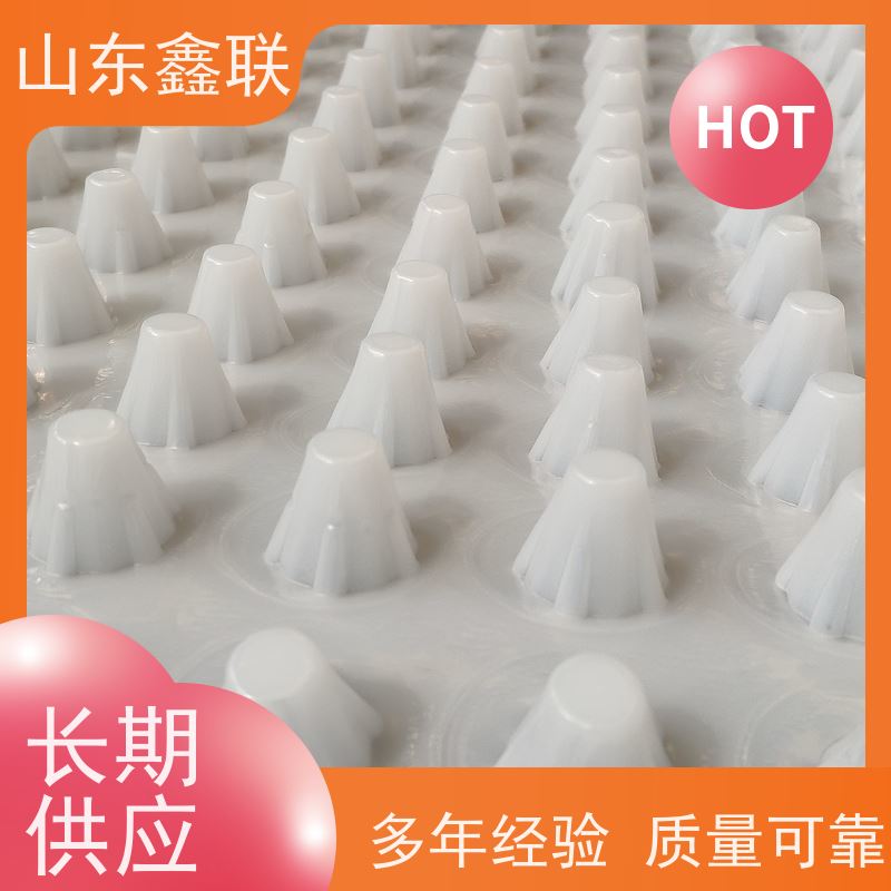 屋顶花园绿排蓄水板 鑫联新新 50*50片材排水板 20mm高凹凸型结构
