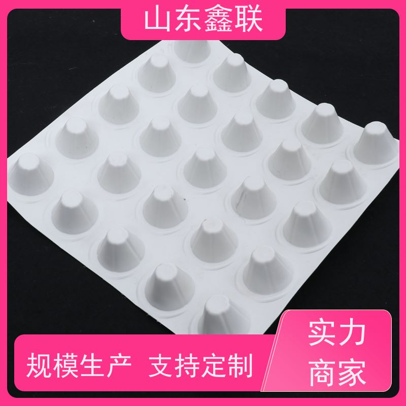 丽 江1500g塑料排水板 H20凹凸型高密度聚乙烯疏水板