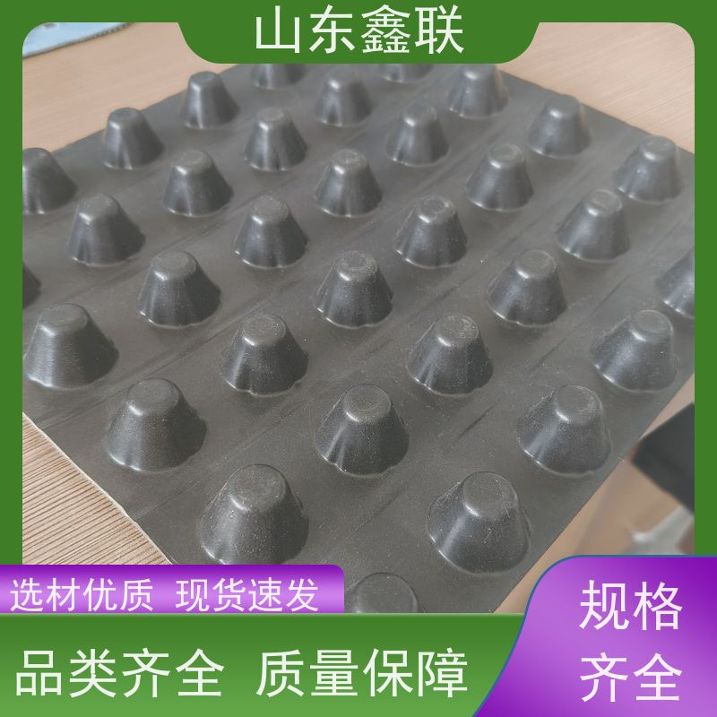 鑫联新新 塑料夹层板 建筑工地PVC凸片排水板 耐腐蚀酸碱