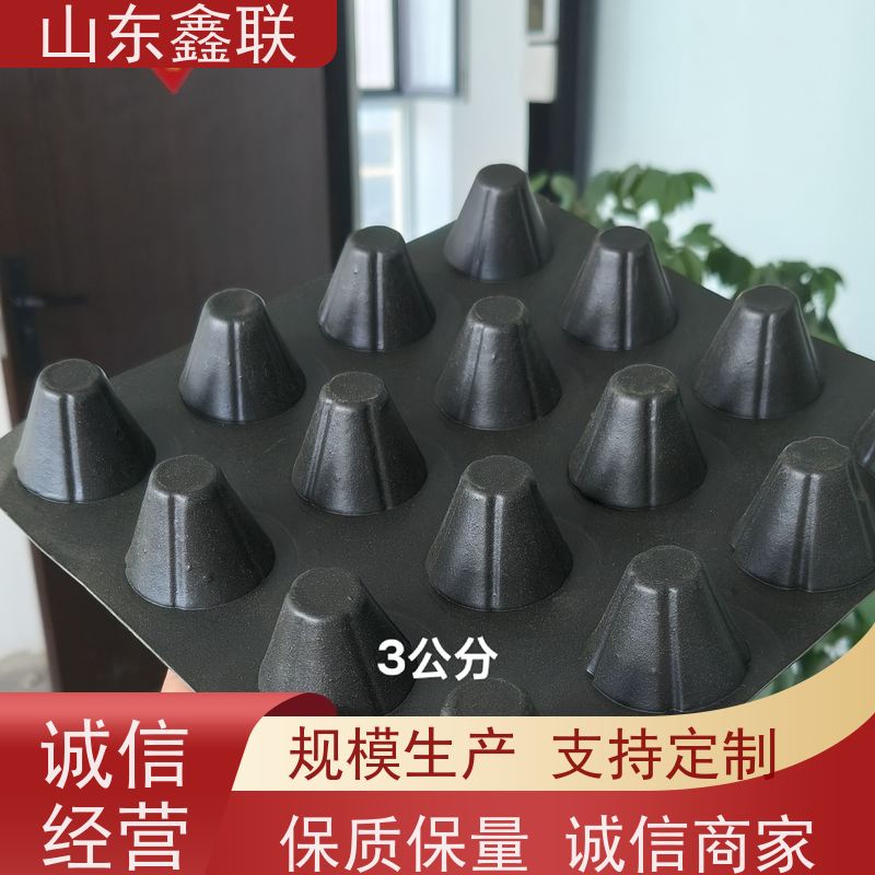 车库绿化排水板14高分子异形片材2公分凹凸型塑料疏水板 施工方案