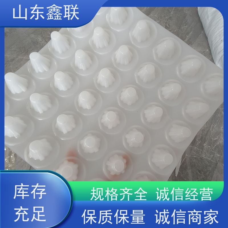 延 边排水板 HDPE高密度聚乙烯材质 楼顶花园凹凸型疏水板