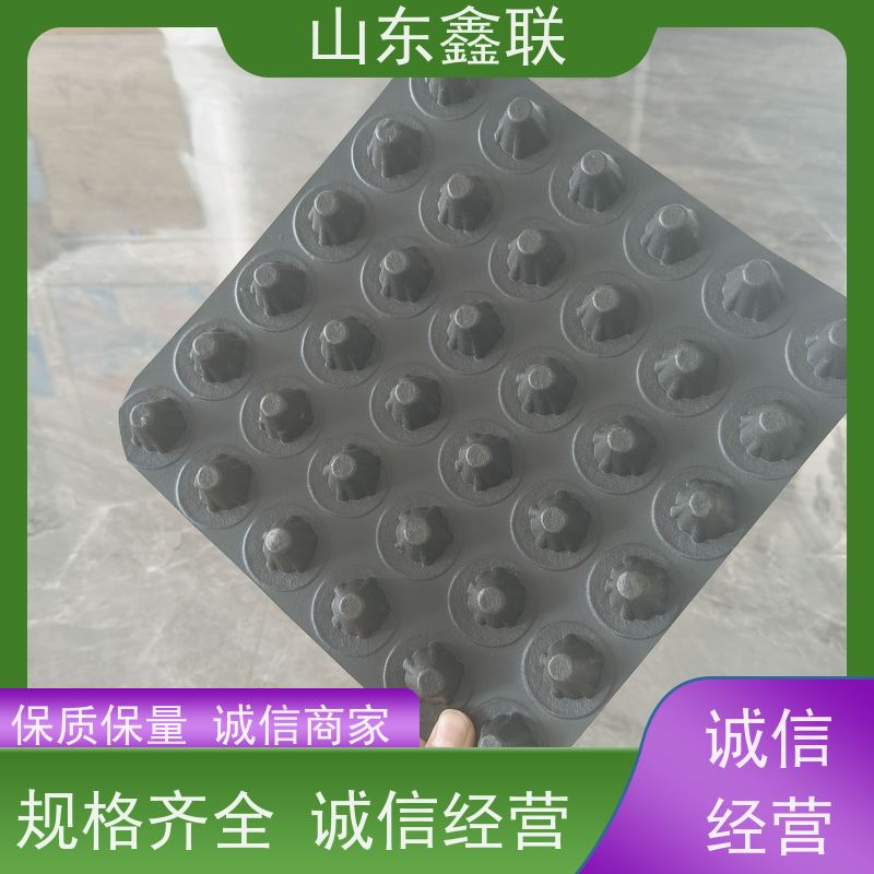 屋面防渗用排水板 具有蓄水功能 3m*10m凹凸型塑料疏水板多规格