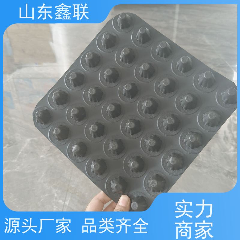 鑫联 高密度聚乙烯疏水板 HDPE耐腐蚀鑫联新 承接项目