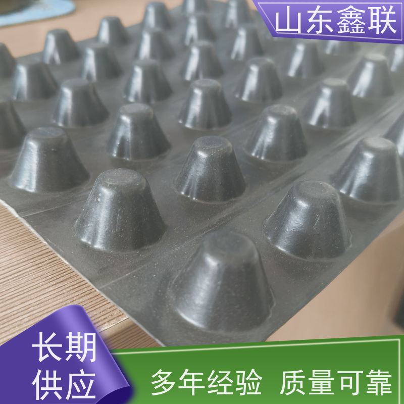 车库塑料排水板 ped14高分子防护排水异形片 鑫联新