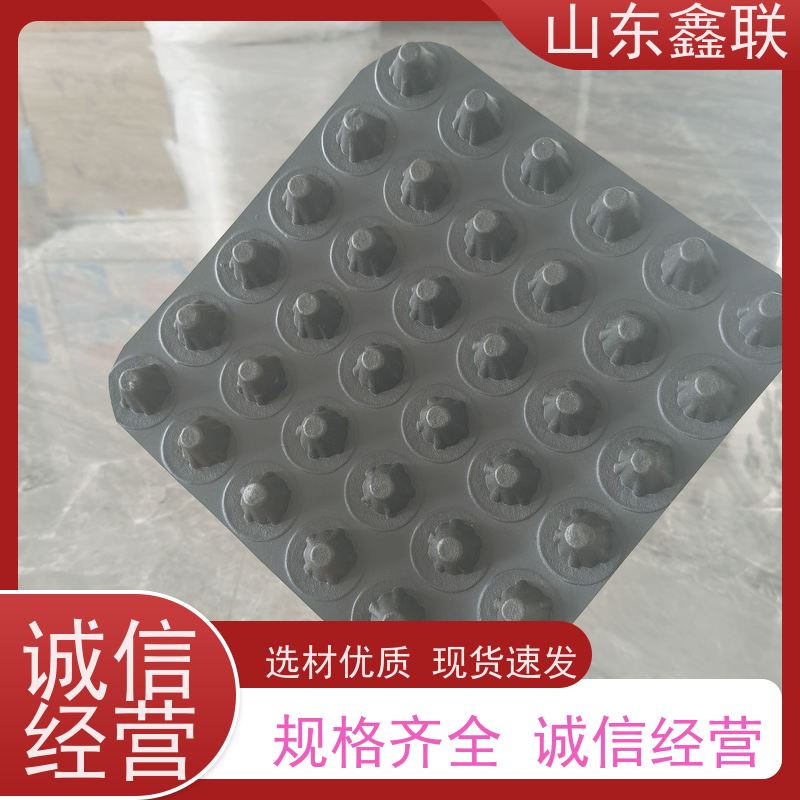 RCP渗排水网垫 垃圾填埋污水过滤排水 土工席垫网状交织排水板