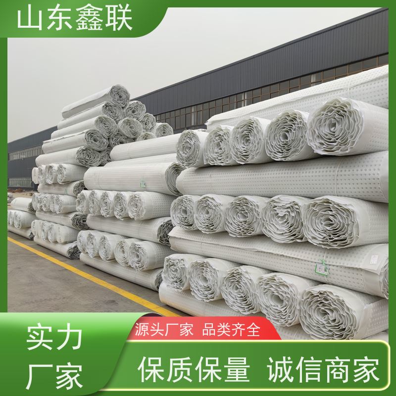 稳定强 网状交织 蓄水排水板 降低建筑物的载荷 鑫联新材料