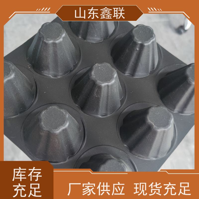 排水板厂家 高密度聚乙烯凹凸塑料鑫联新 车库顶楼顶花园疏水板