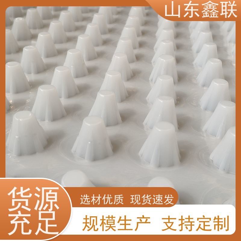 泰莱德 HDPE塑料排水卷材 车顶顶板底板用排蓄水板 厂家直供