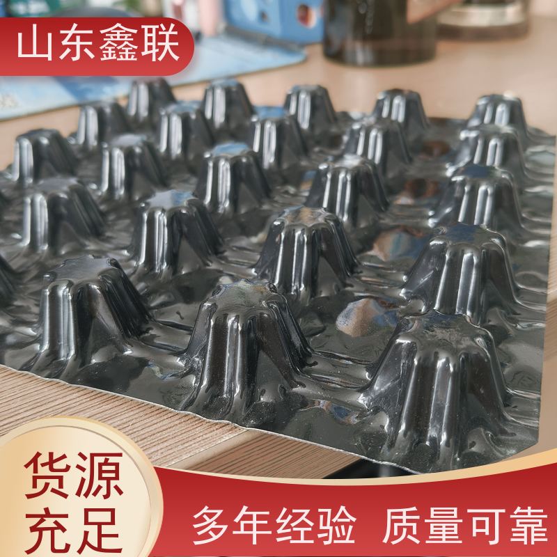 鑫联 高强度聚乙烯排水板 车库底板凹凸塑料滤水排 水板