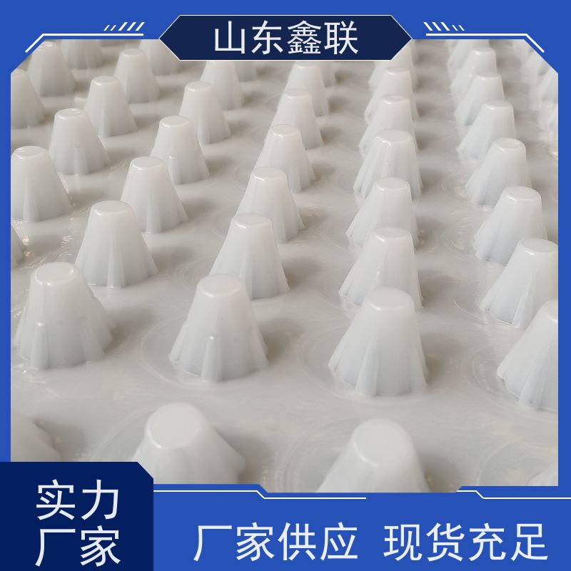 20mm高楼顶绿化花箱屋面高密度聚乙烯凹凸型塑料蜂窝型排蓄水板