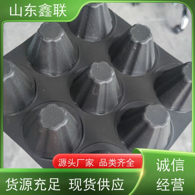 湖 南益 阳排水板楼顶屋顶花园 2cm 0.8公分塑料排水凸片