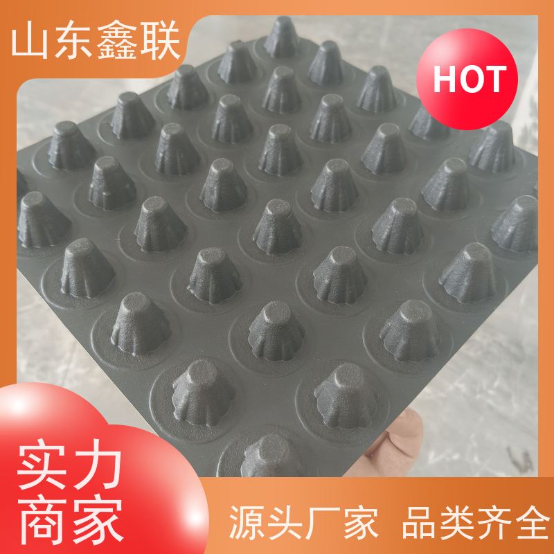 蓄水池凹凸型成品排水板 H30塑料排水片材鑫联新