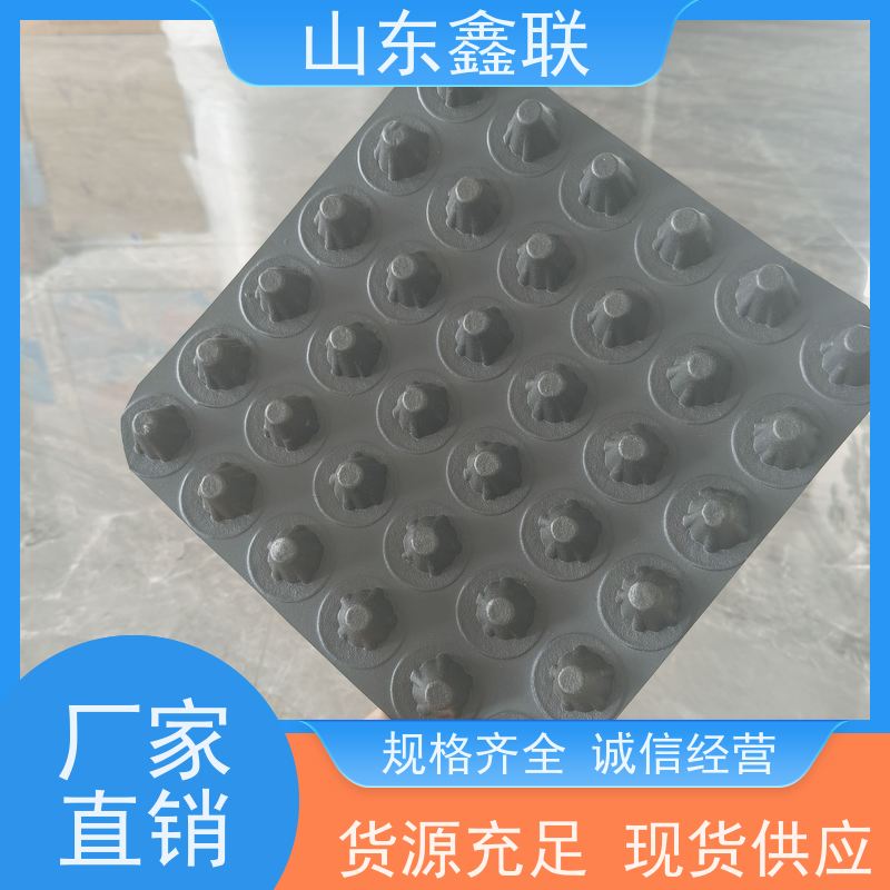 镇 江 HDPE4公分白色凹凸塑料导水板抗穿刺 排水板 鑫联新新提供