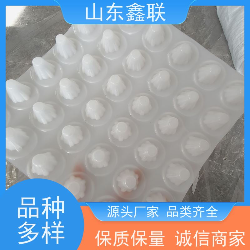 工地施工塑料鑫联新 白色4公分凸高替代鹅卵石碎石过滤层