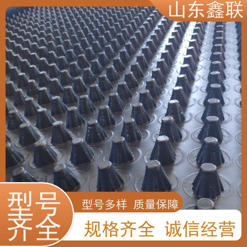 塑料排水板 建筑工程 hdpe 滤水板 绿色疏水板 凹凸型蓄排水版