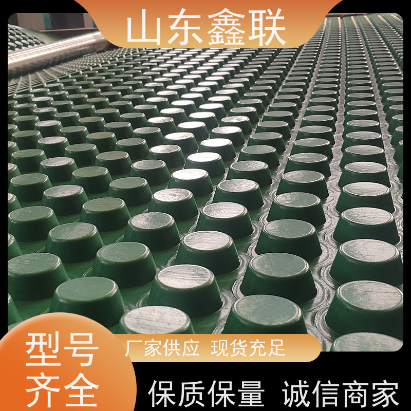 HDPE防排水板 聚乙烯pe排蓄水板 滤水板精选厂家 厂家直 销
