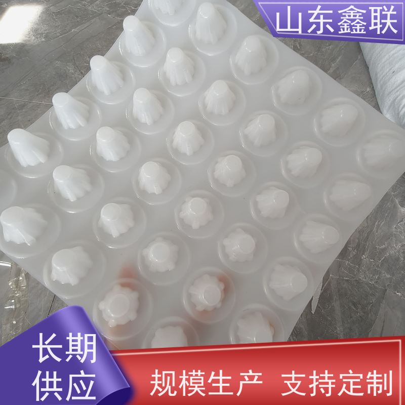 黑塑料凸片排水板 地下室车库顶板 多规格可定制 鑫联新