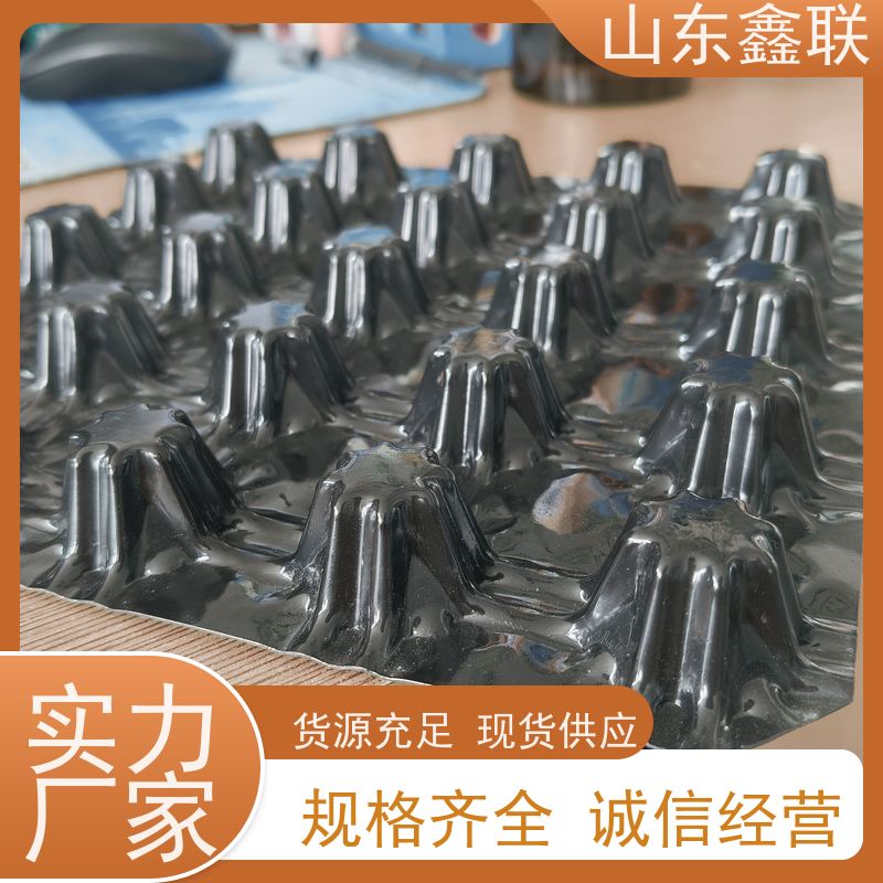 工程蜂窝型塑料50cm*50cm保水排水格片 鑫联新 屋顶花园绿化