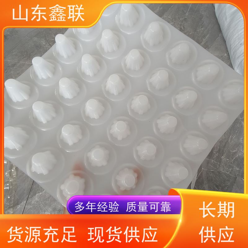 hdpe塑料鑫联新 2公分凹凸型块状排蓄水板 库存充足